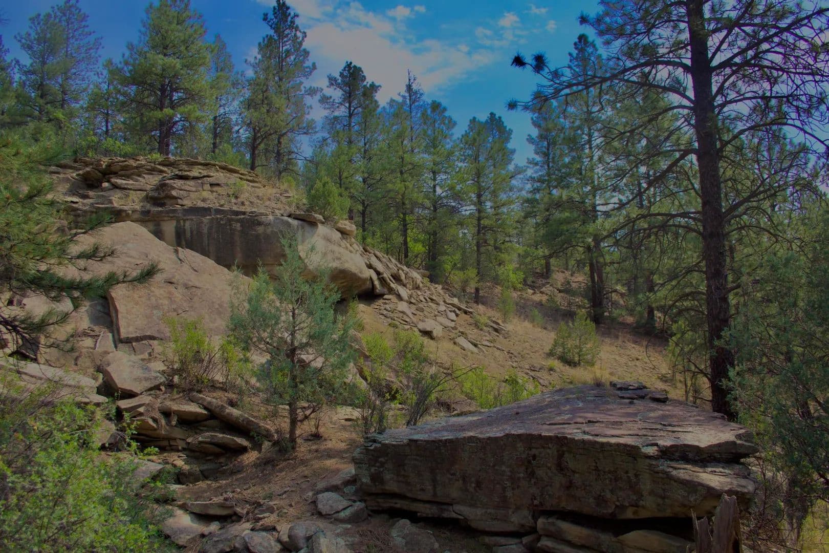 TBD Pine Lane 47 & 54, Weston, CO 81091 - Weston, Colorado, 81091