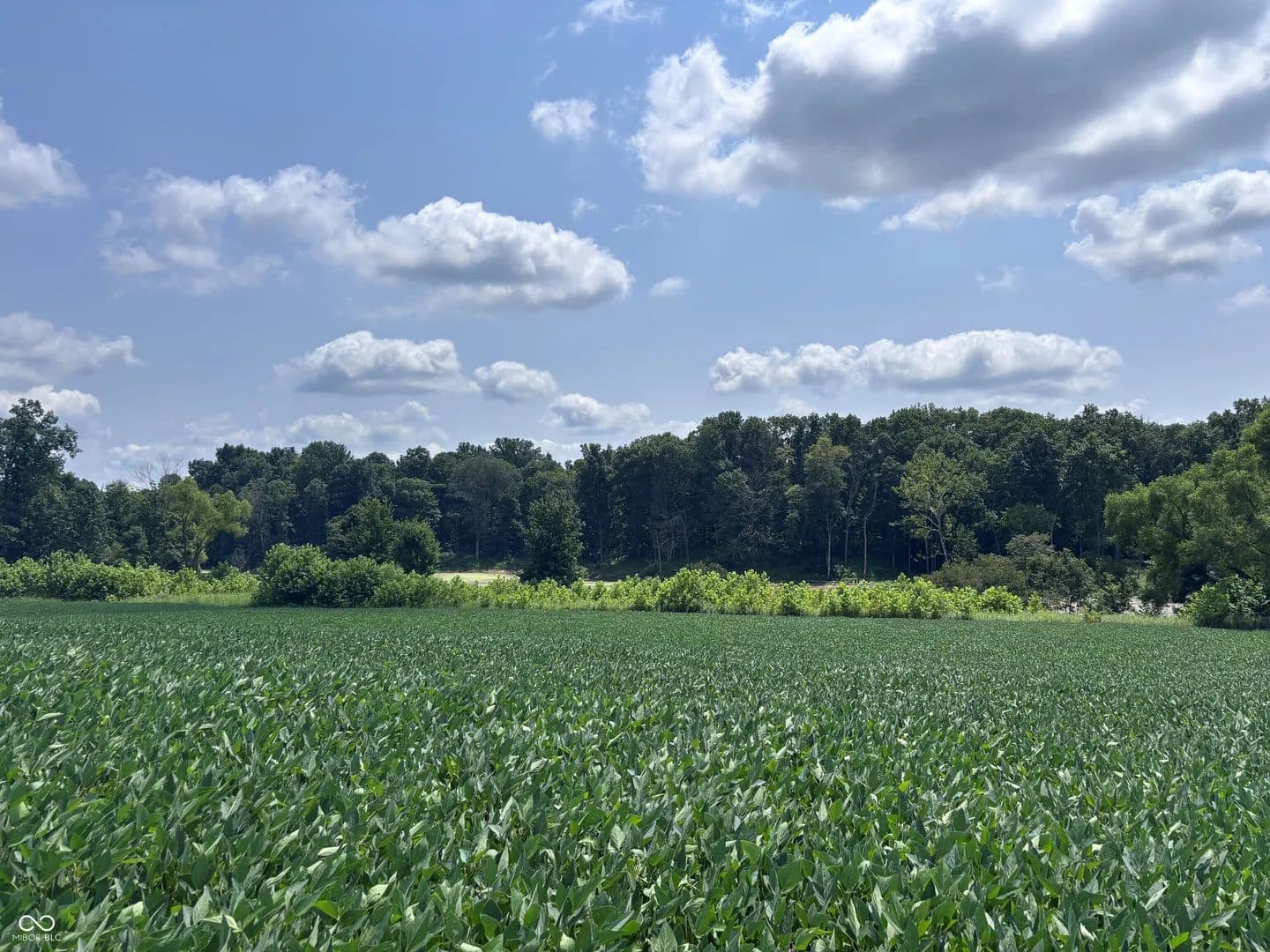 Vacant Land in Farmersburg - Farmersburg, Indiana, 47850