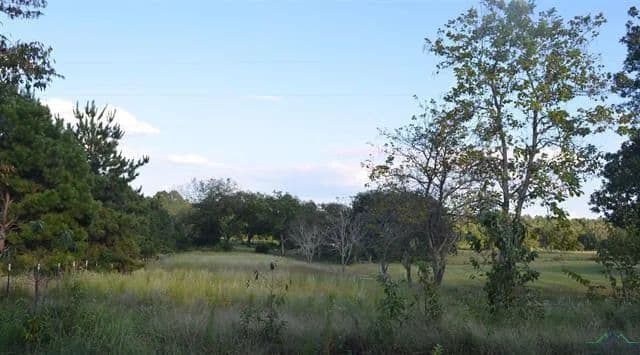 Vacant Land (0-10 Acres) in Henderson