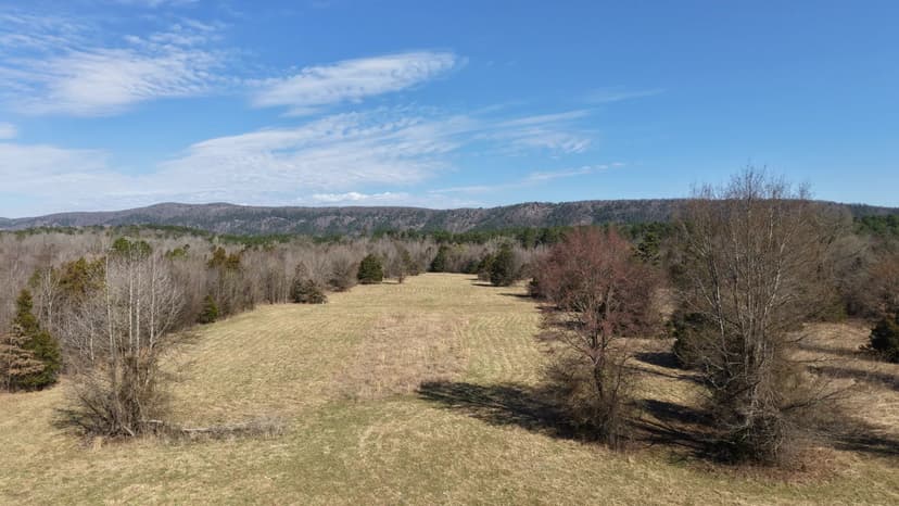 101 Acres Montgomery County, AR 