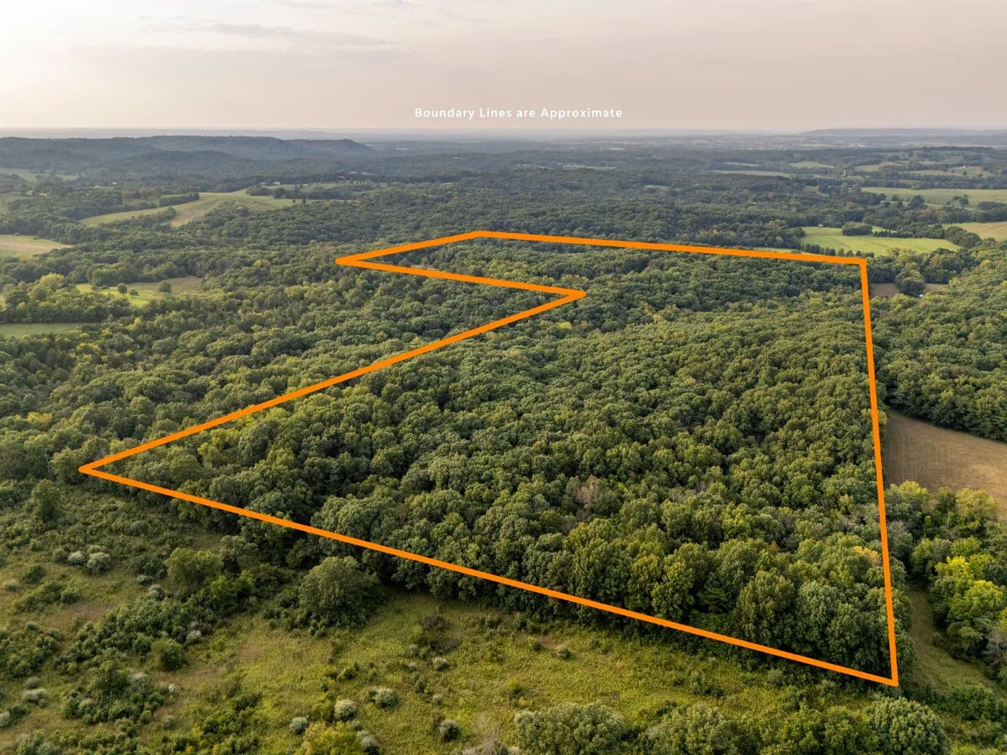 75±-Acre Timber & Hunting Property with Prime Build Site – Pike County - Eolia, Missouri, 63344