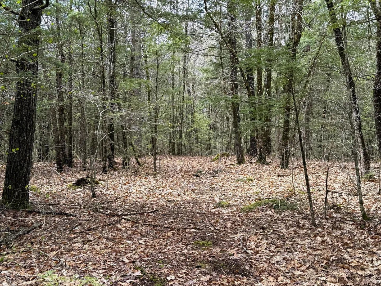 4.49 Acres of Land for Sale in Hollis, ME - Hollis, Maine, 04042