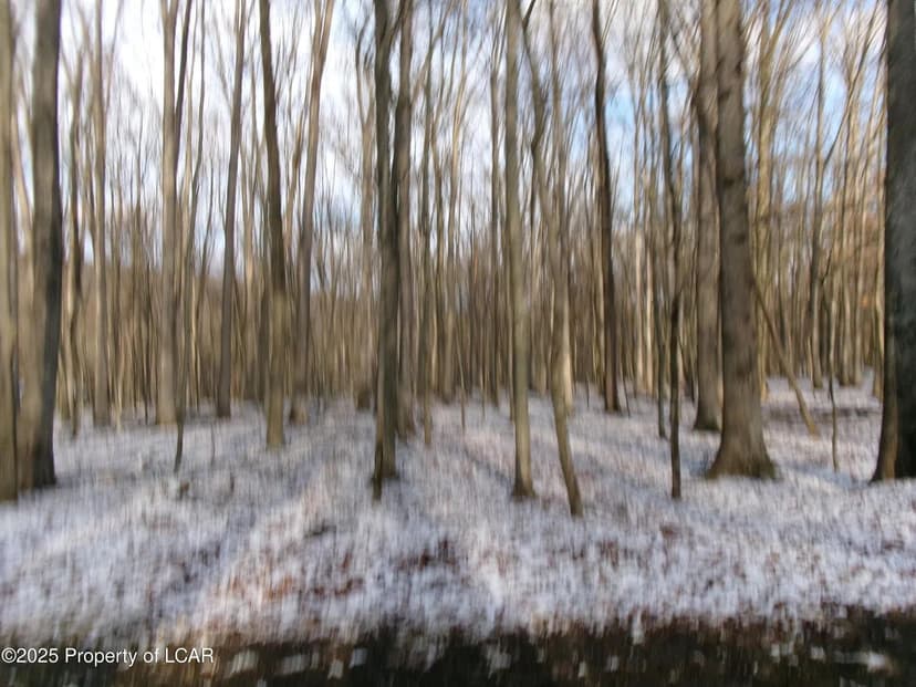 Lots & Land-Other in Hazle Twp