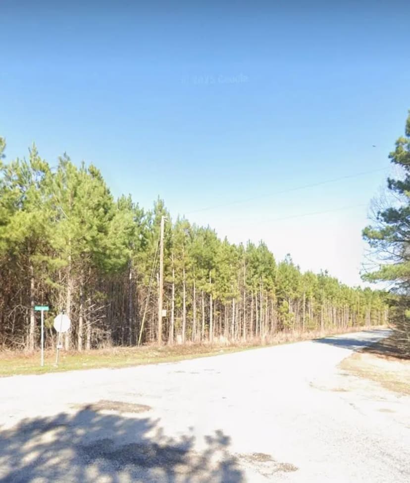 Vacant Land in Holly Hill