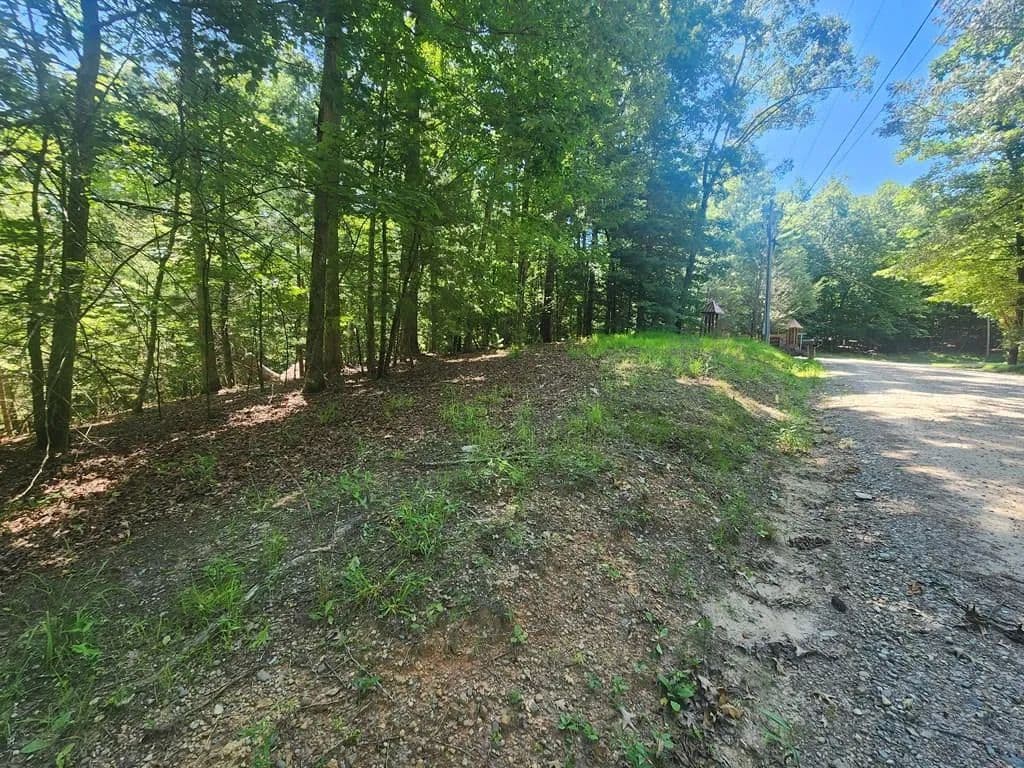 Lots & Land-Other in Morganton - Morganton, Georgia, 30560