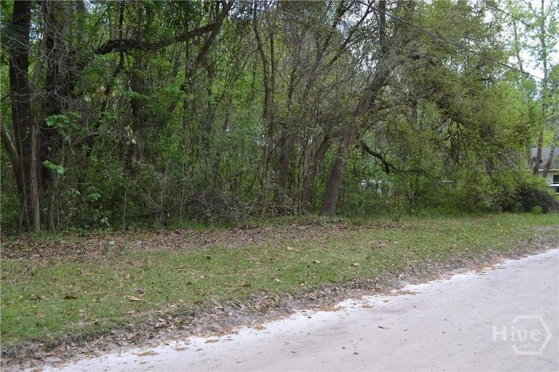 Lots & Land-Other in Bloomingdale - Bloomingdale, Georgia, 31302