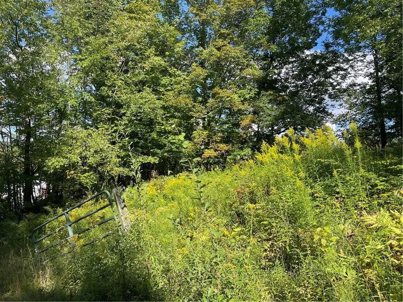 Property from 19.221 Turnpike Road - KW