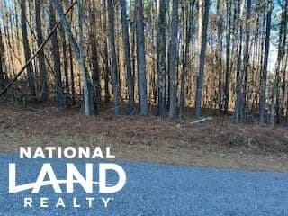 Beautiful Subdivision Lot Near Lake Weiss With Private Boat Dock Access - Leesburg, Alabama, 35983