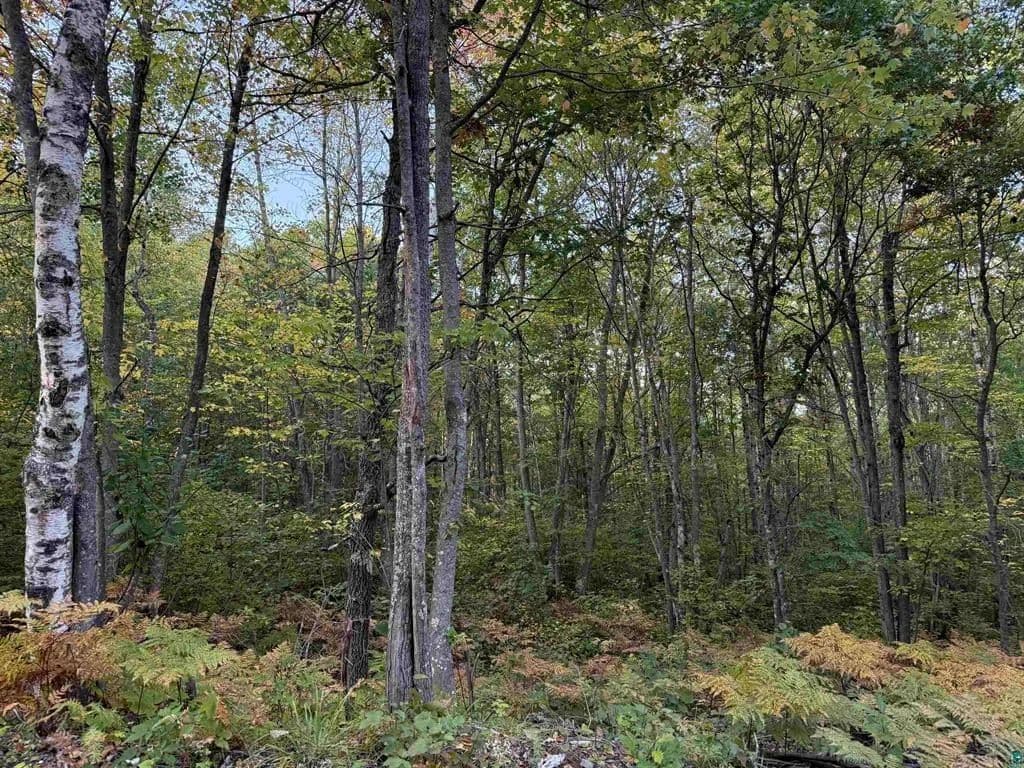 Vacant Land in Iron River - Iron River, Wisconsin, 54847