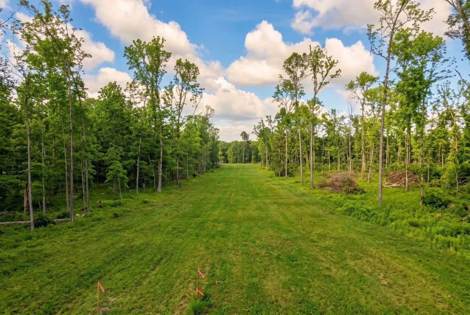 23.12 Acres of Land for Sale in Belvidere, TN - Belvidere, Tennessee, 37306