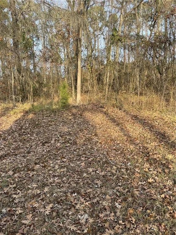 Lots & Land-Other in Goldonna - Goldonna, Louisiana, 71031