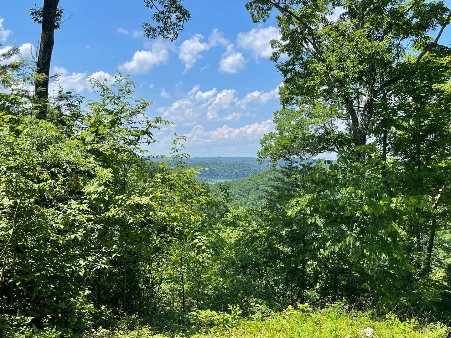 Land -Single Family Acreage in Monticello - Monticello, Kentucky, 42633