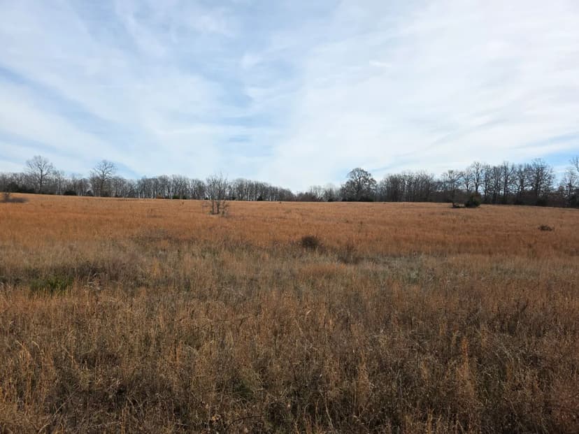40 Acres in Sharp County, AR 