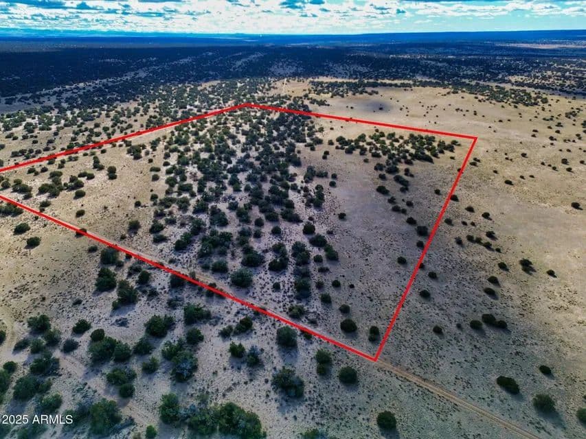 Vacant Land in St Johns - St Johns, Arizona, 85936