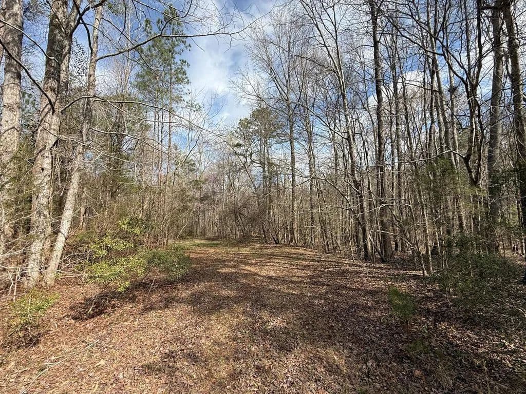 Vacant Land in Waverly Hall - Waverly Hall, Georgia, 31831