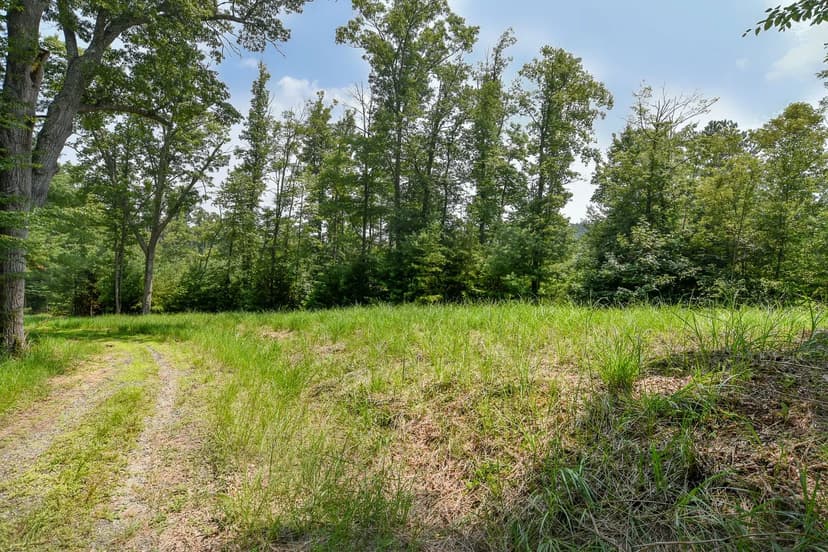 Vacant Land (0-10 Acres) in Marshall