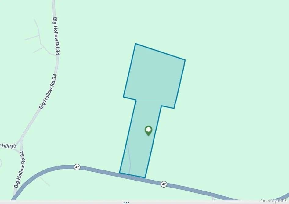Land for Sale in Grahamsville, NY - Grahamsville, New York, 12740