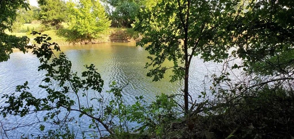 Vacant Land in Boyd - Boyd, Texas, 76023