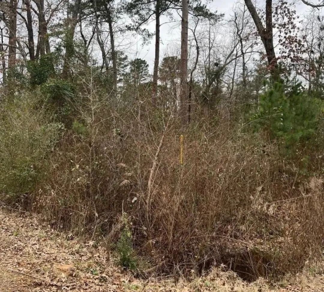 Vacant Land in Jefferson - Jefferson, Texas, 75657