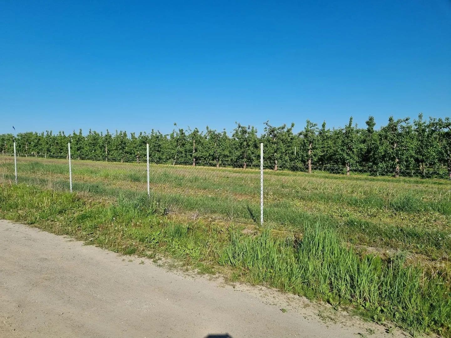 Działki budowlane 1200 m2 Zalasewo Rabowice - land for sale