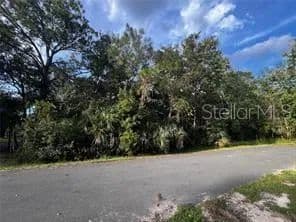 Vacant Land in Kissimmee - Kissimmee, Florida, 34747