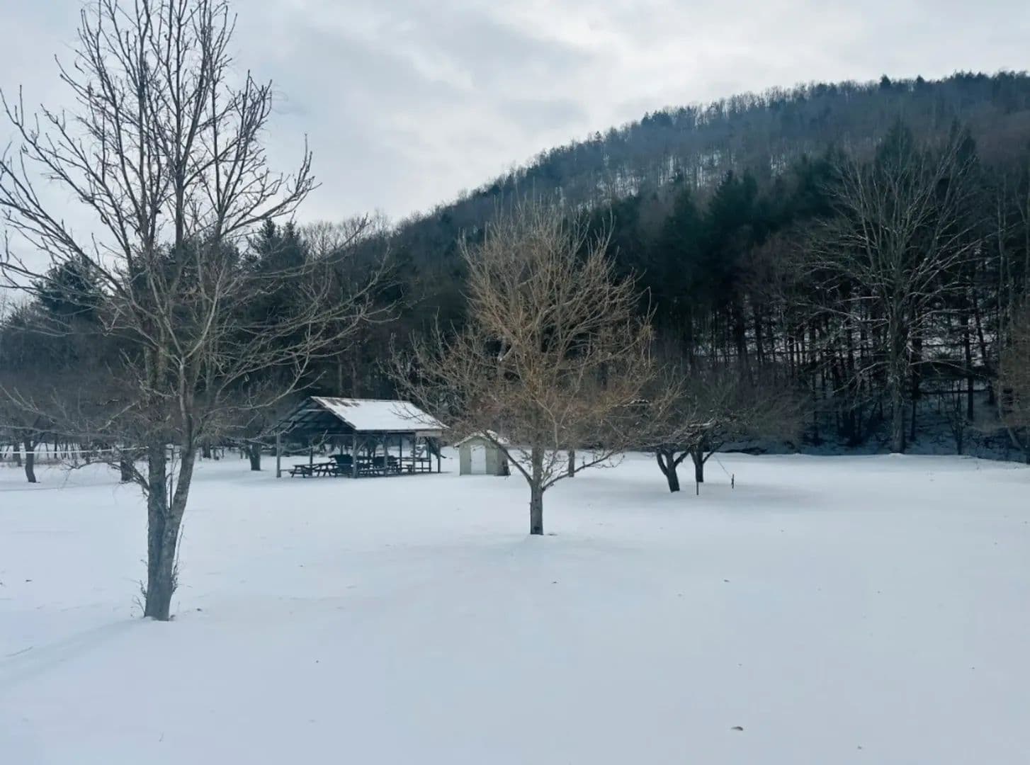 Incredibly Hard to Find Small Acreage Lot Bursting with Opportunity Featuring a Trout Steam and Established Fruit Orchard. - Emporium, Pennsylvania, 15834