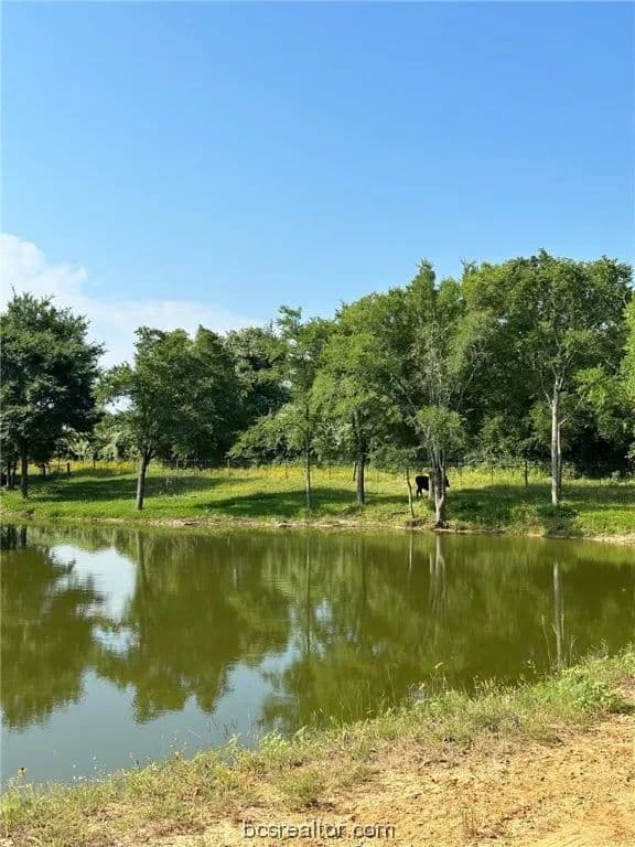 Vacant Land in Marquez - Marquez, Texas, 77865