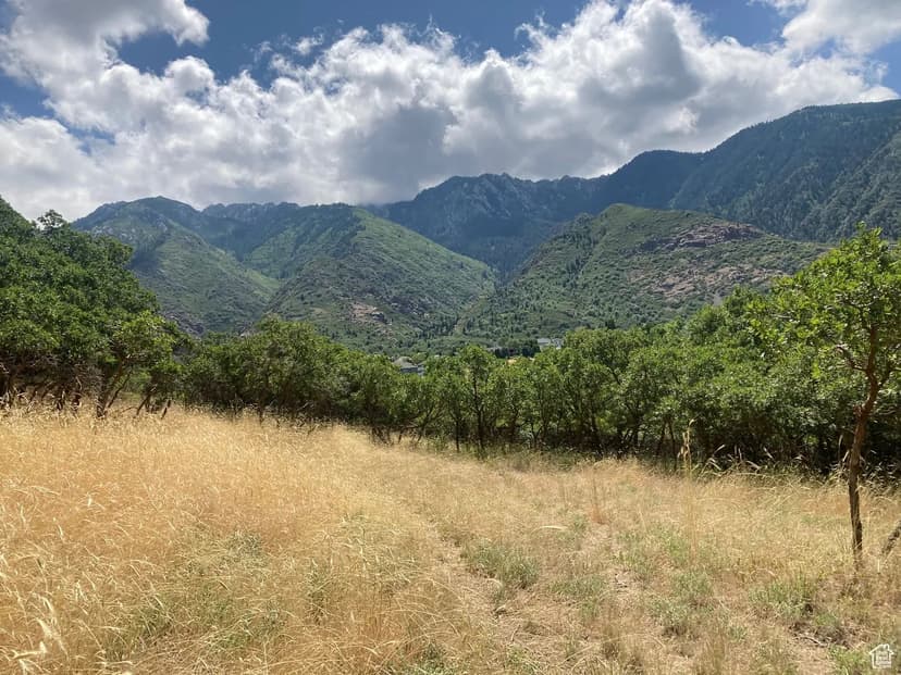 Vacant Land in Sandy