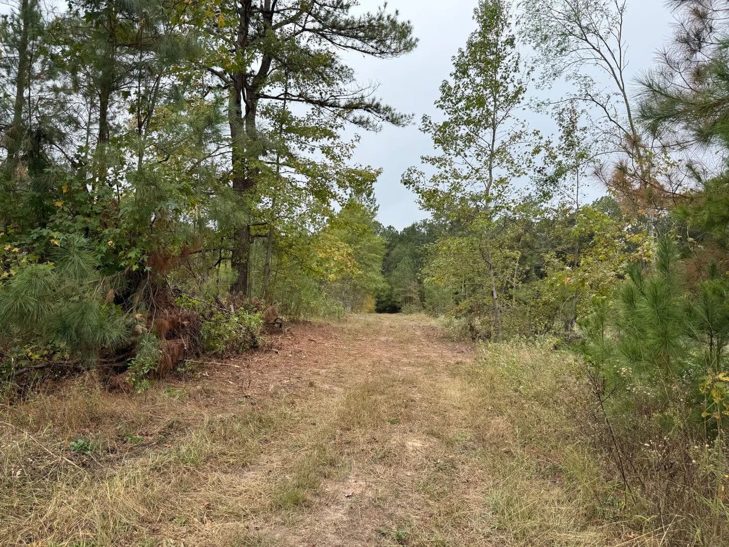 Vacant Land (10+ Acres) in Henderson - land for sale