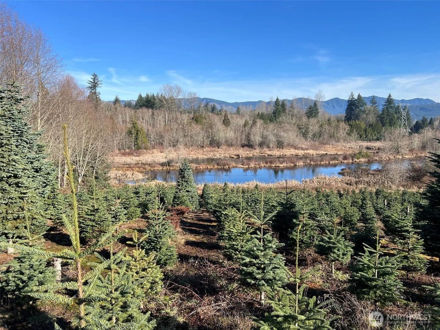 Land -Single Family Acreage in Cinebar - land for sale