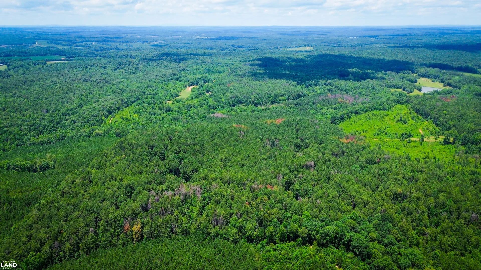 Sweetwater Creek Timber and Recreation - Daviston, Alabama, 36256