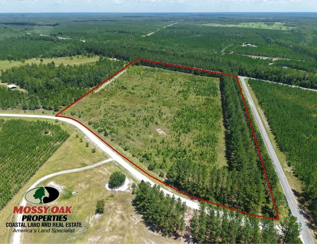 20.54 +/- Ac Land for Sale in Charlton County, GA - Folkston, Georgia, 31537