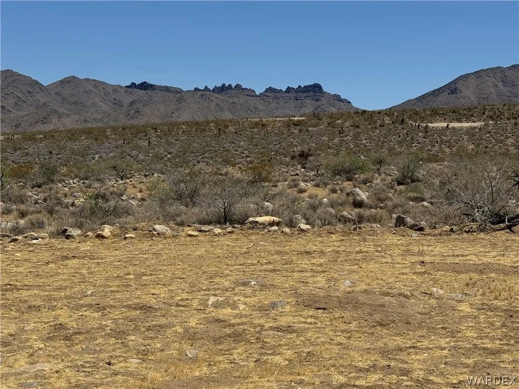 19 Acres of Land for Sale in Dolan Springs, AZ - Dolan Springs, Arizona, 86441