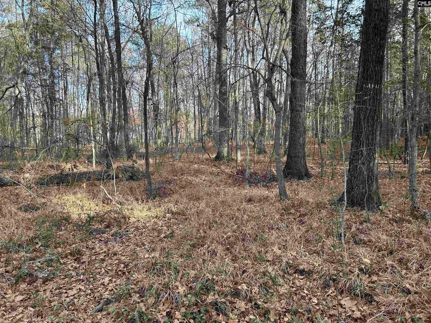 Vacant Land in Elgin - Elgin, South Carolina, 29045