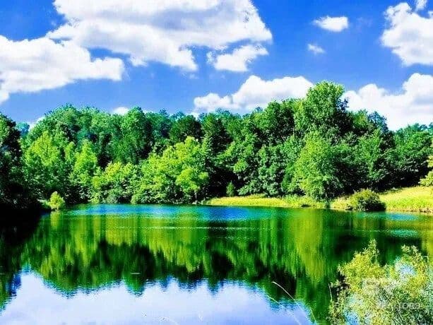 Lots & Land-Other in Millry - Millry, Alabama, 36558