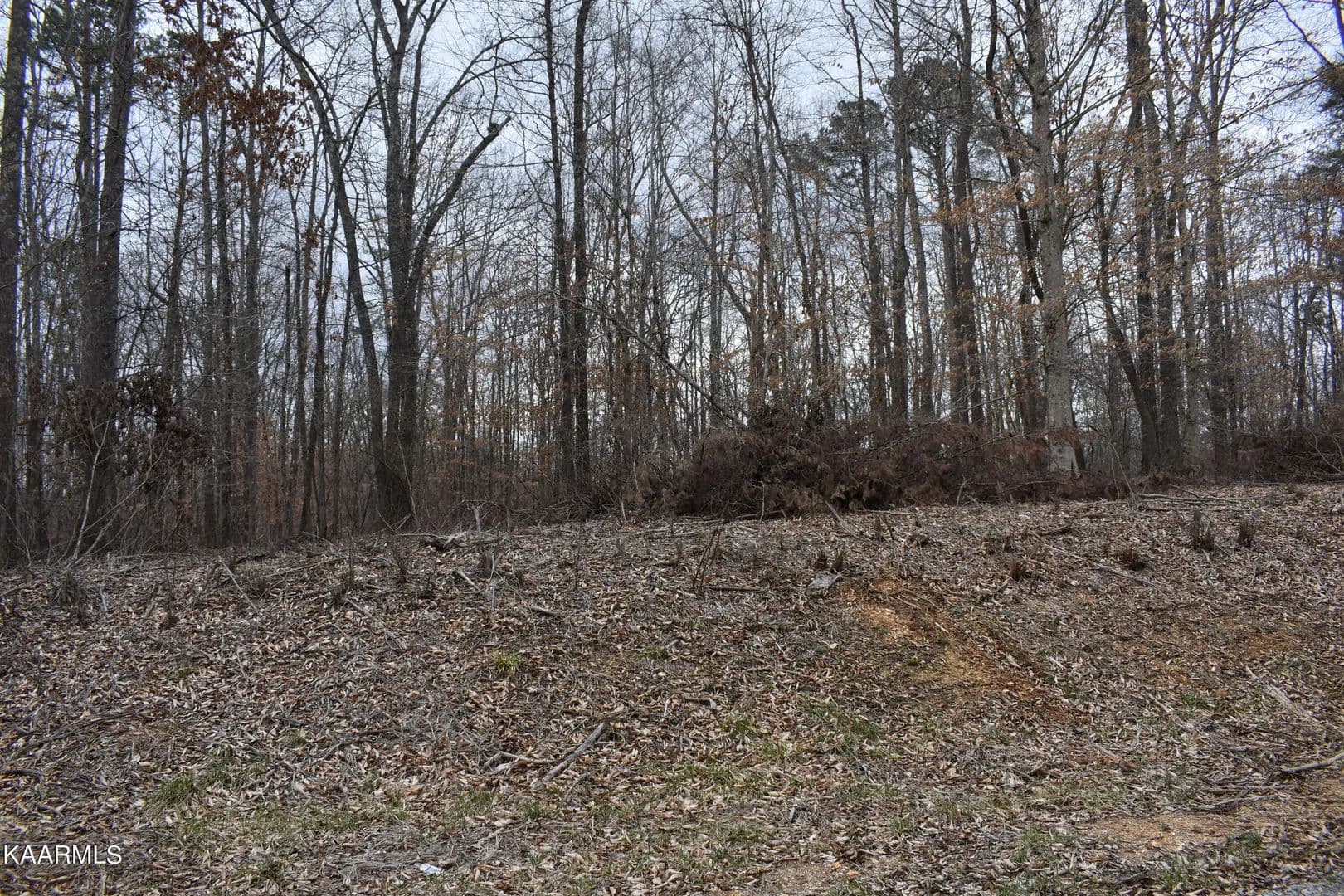 Lots & Land-Other in Speedwell - Speedwell, Tennessee, 37870