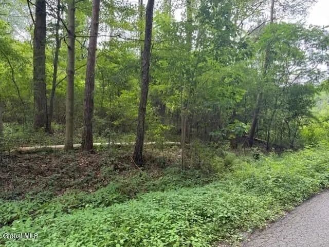 Land -Single Family Acreage in Princetown - Princetown, New York, 12056