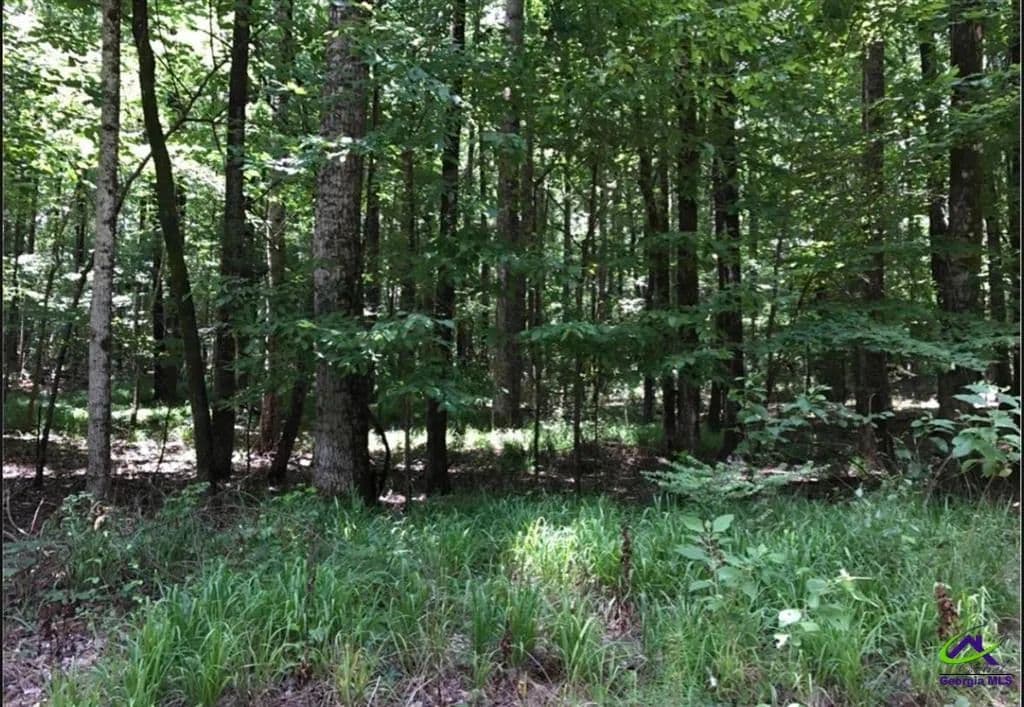 Lots & Land-Other in Macon - Macon, Georgia, 31210
