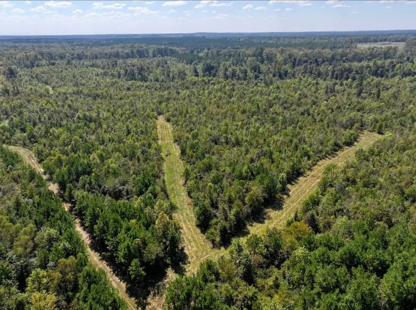 206 Acres in Attala County, MS