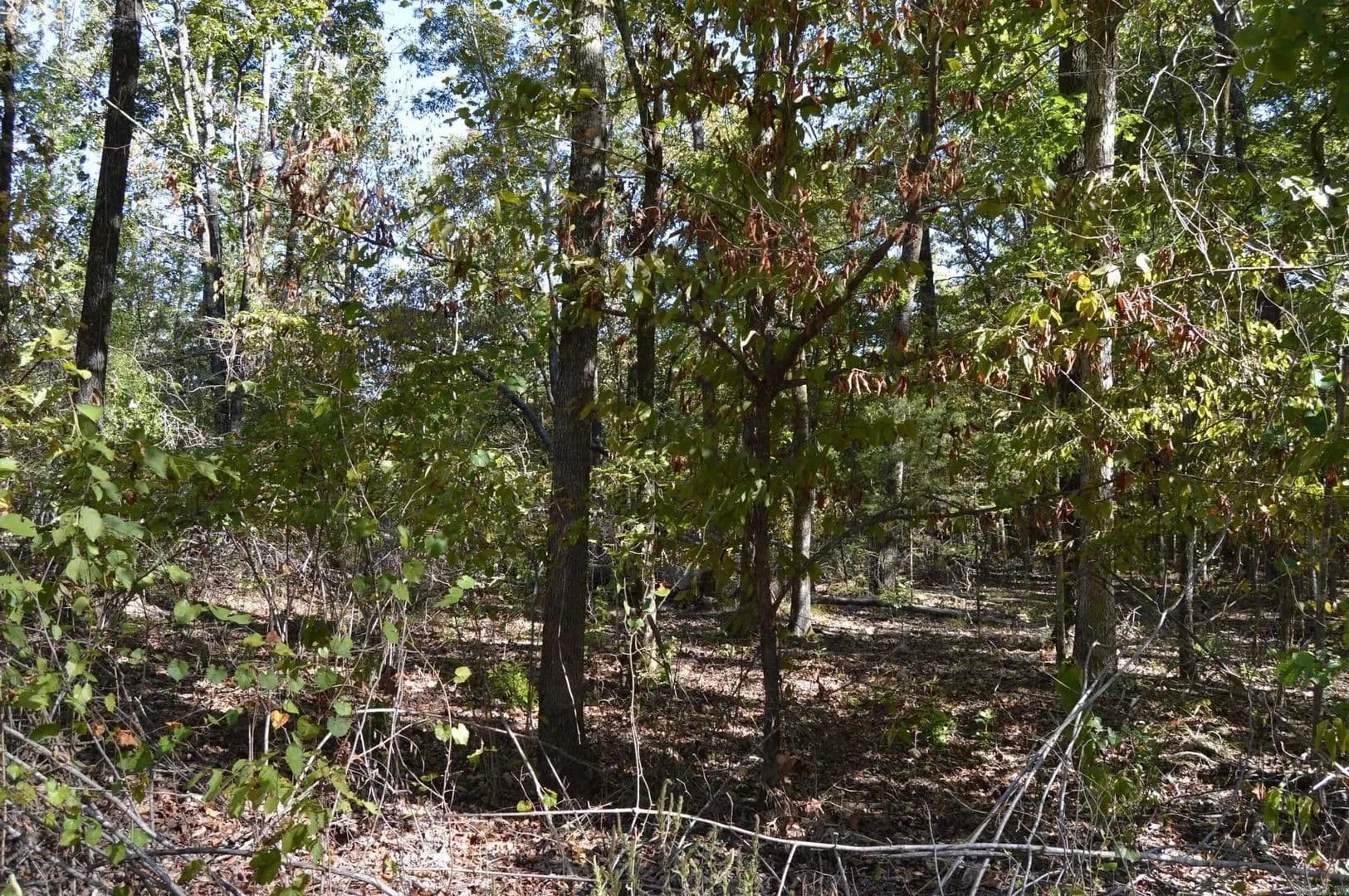 Lots & Land-Other in Alexander - Alexander, Arkansas, 72002