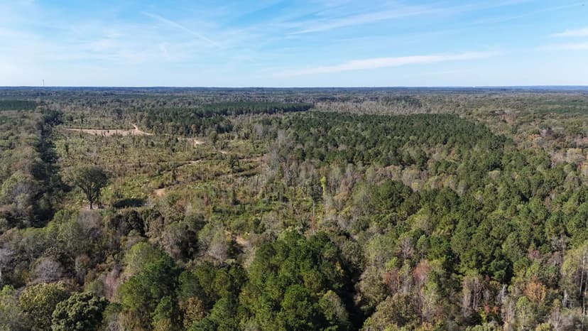 344 Acres in Neshoba County in Philadelphia, MS
