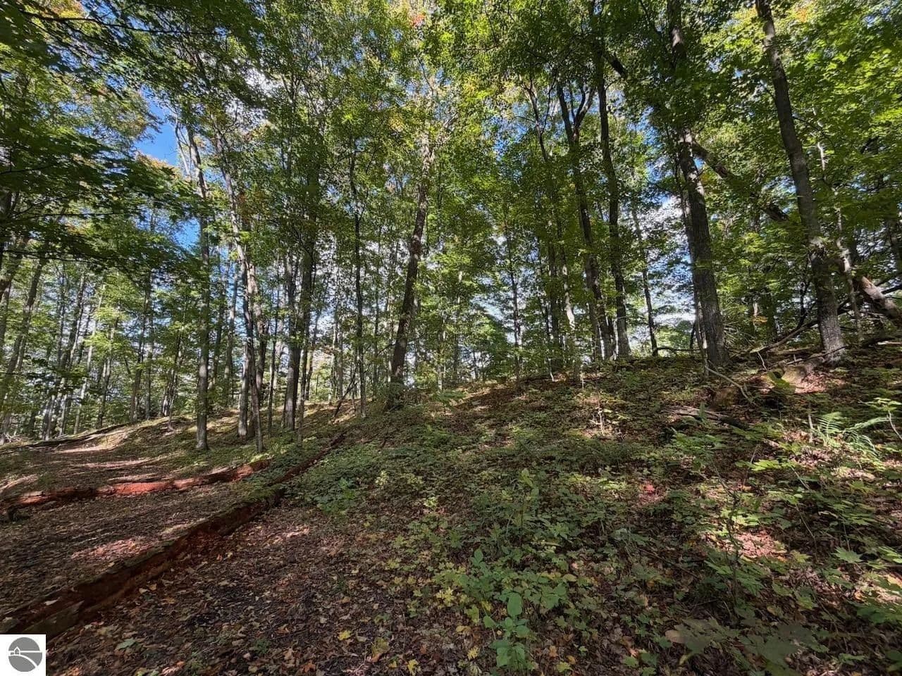 0.4 Acres of Land for Sale in Bellaire, MI - Bellaire, Michigan, 49615