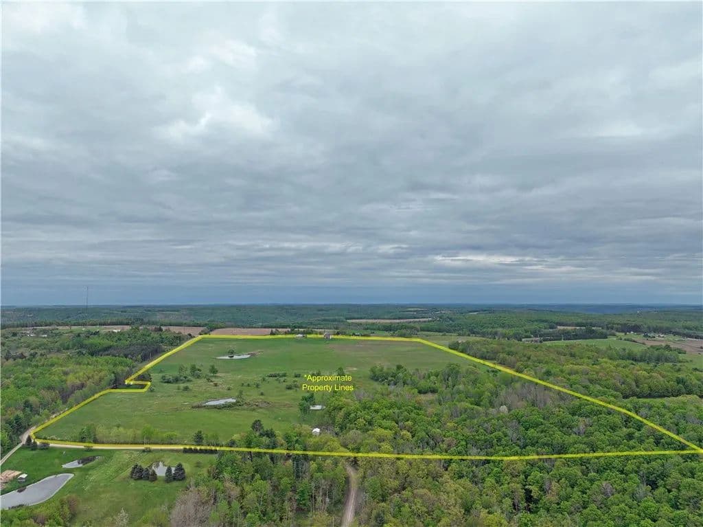 94.94 Acres of Land for Sale in Andover, NY - Andover, New York, 14806