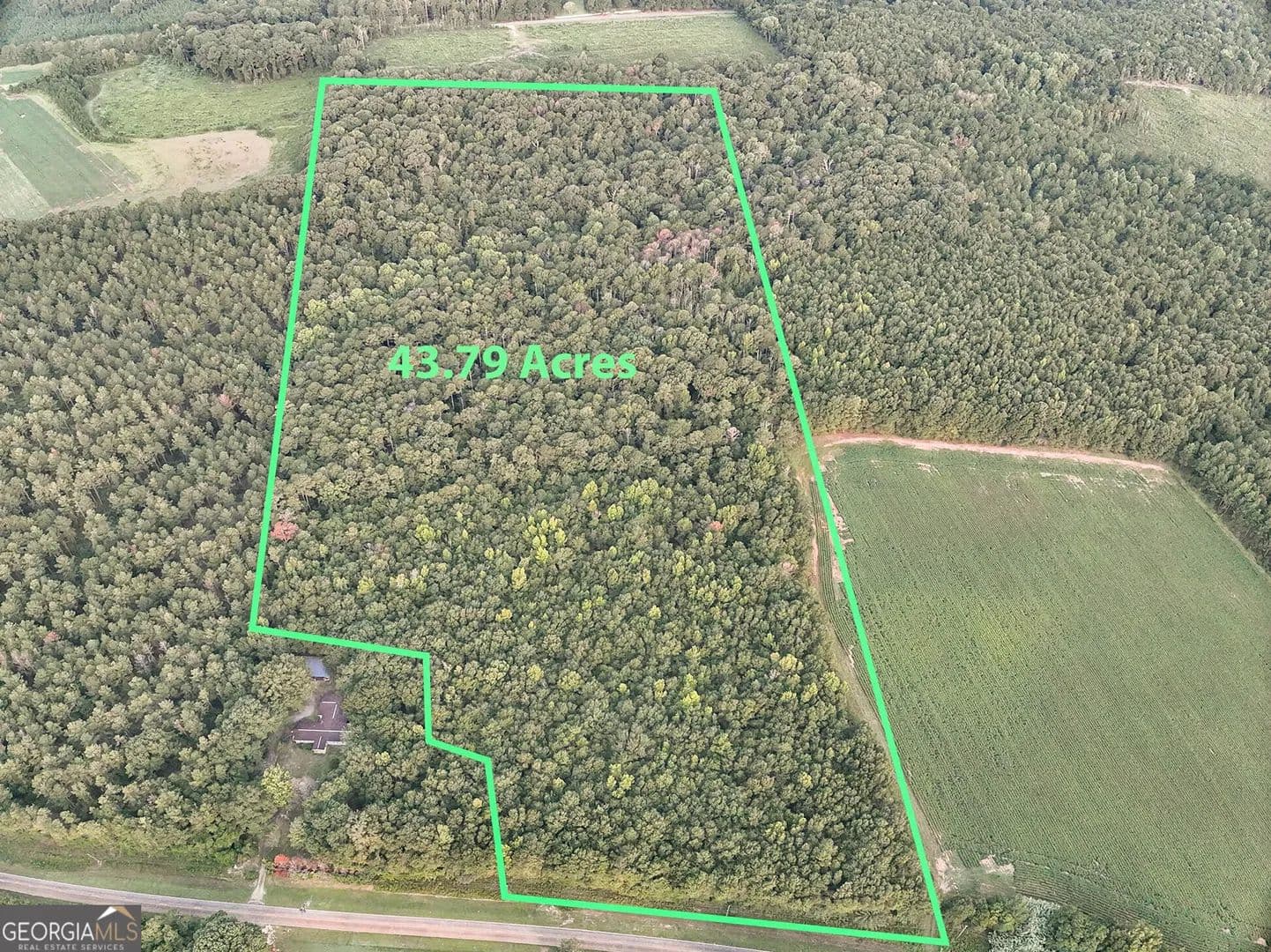 43.79 Acres of Land for Sale in Oglethorpe, GA - Oglethorpe, Georgia, 31068