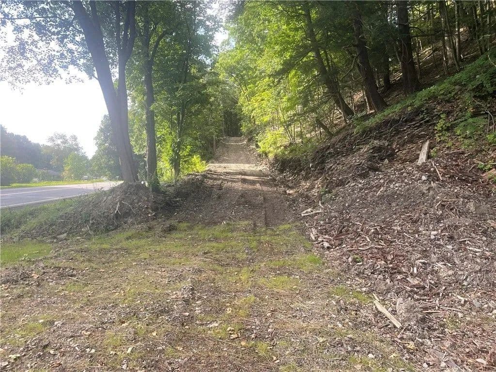 Land -Single Family Acreage in Milford - Milford, New York, 13807