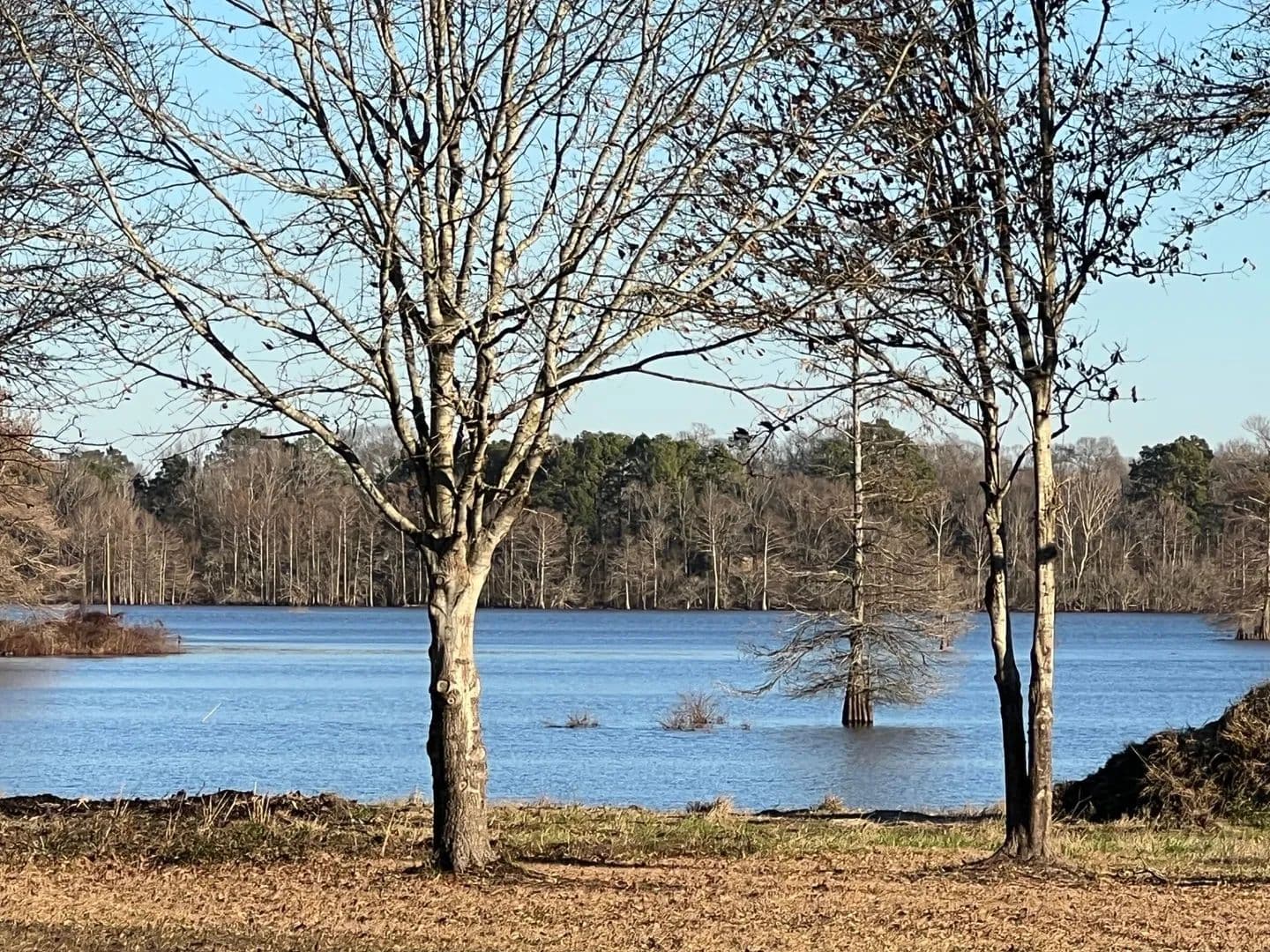 Land -Single Family Acreage in Zwolle - Zwolle, Louisiana, 71486