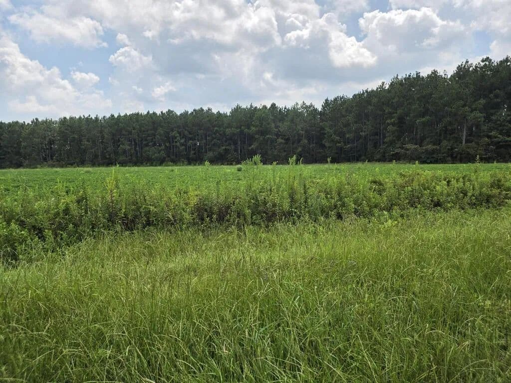 Lots & Land-Other in Fitzgerald - Fitzgerald, Georgia, 31750