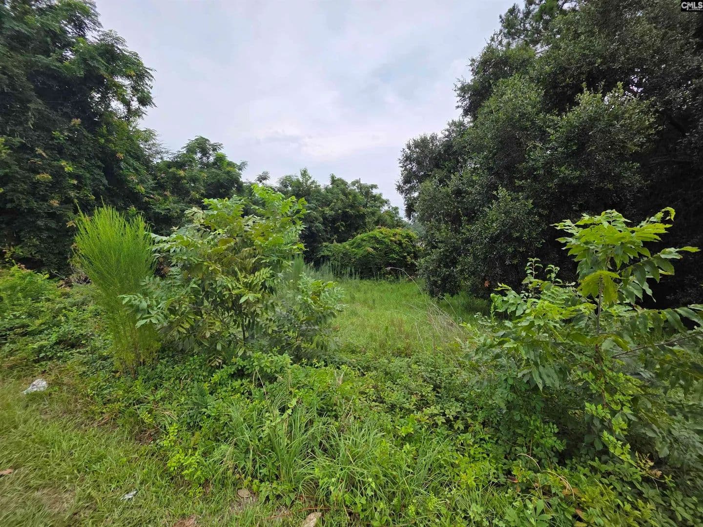 Vacant Land in Orangeburg - Orangeburg, South Carolina, 29115
