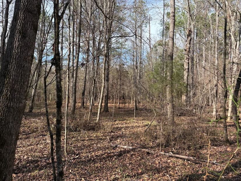 15.54 +/- Acres - Letohatchee, Alabama