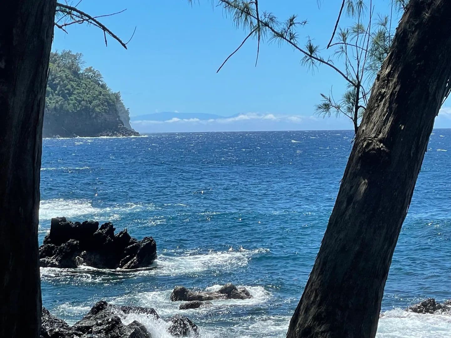 Vacant Land in Laupahoehoe - Laupahoehoe, Hawaii, 96764
